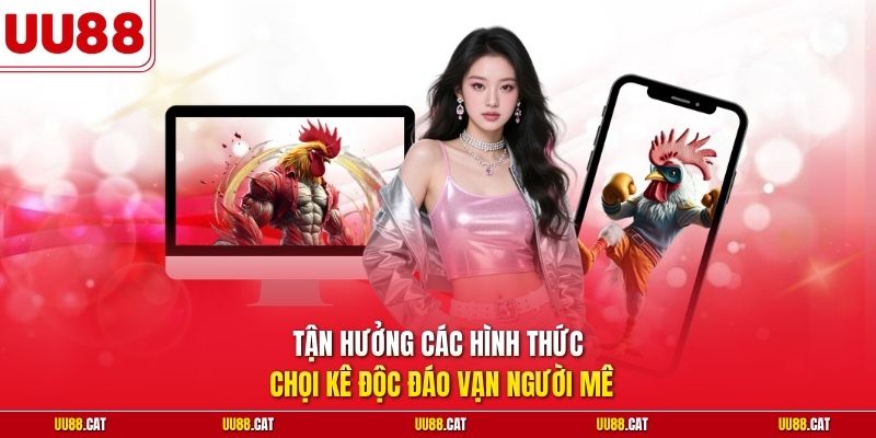 Tận hưởng các hình thức chọi kê độc đáo vạn người mê